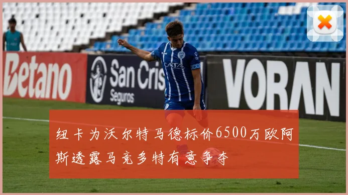 纽卡为沃尔特马德标价6500万欧阿斯透露马竞多特有意争夺
