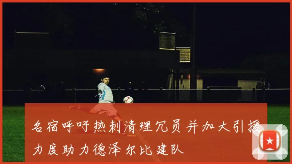 名宿呼吁热刺清理冗员并加大引援力度助力德泽尔比建队